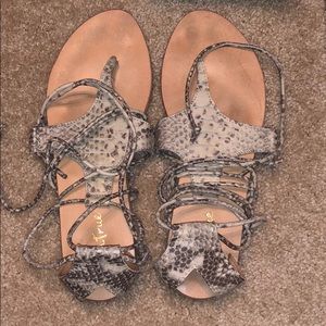 Diba true brand, snake skin flats